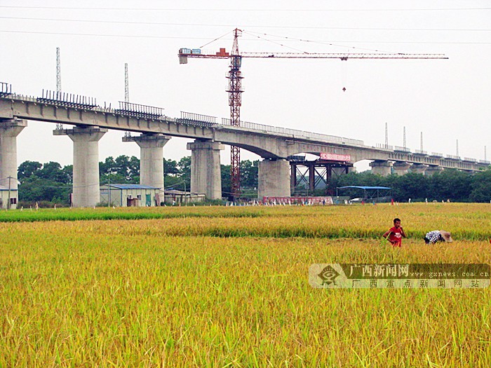 玉鐵鐵路最長特大橋架梁完成架設 有84個墩臺(圖)